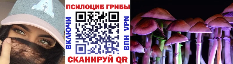 сколько стоит  Рубцовск  Галлюциногенные грибы ЛСД 